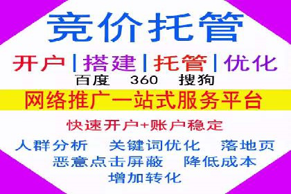 某行业sem代运营推广公司成功案例分析